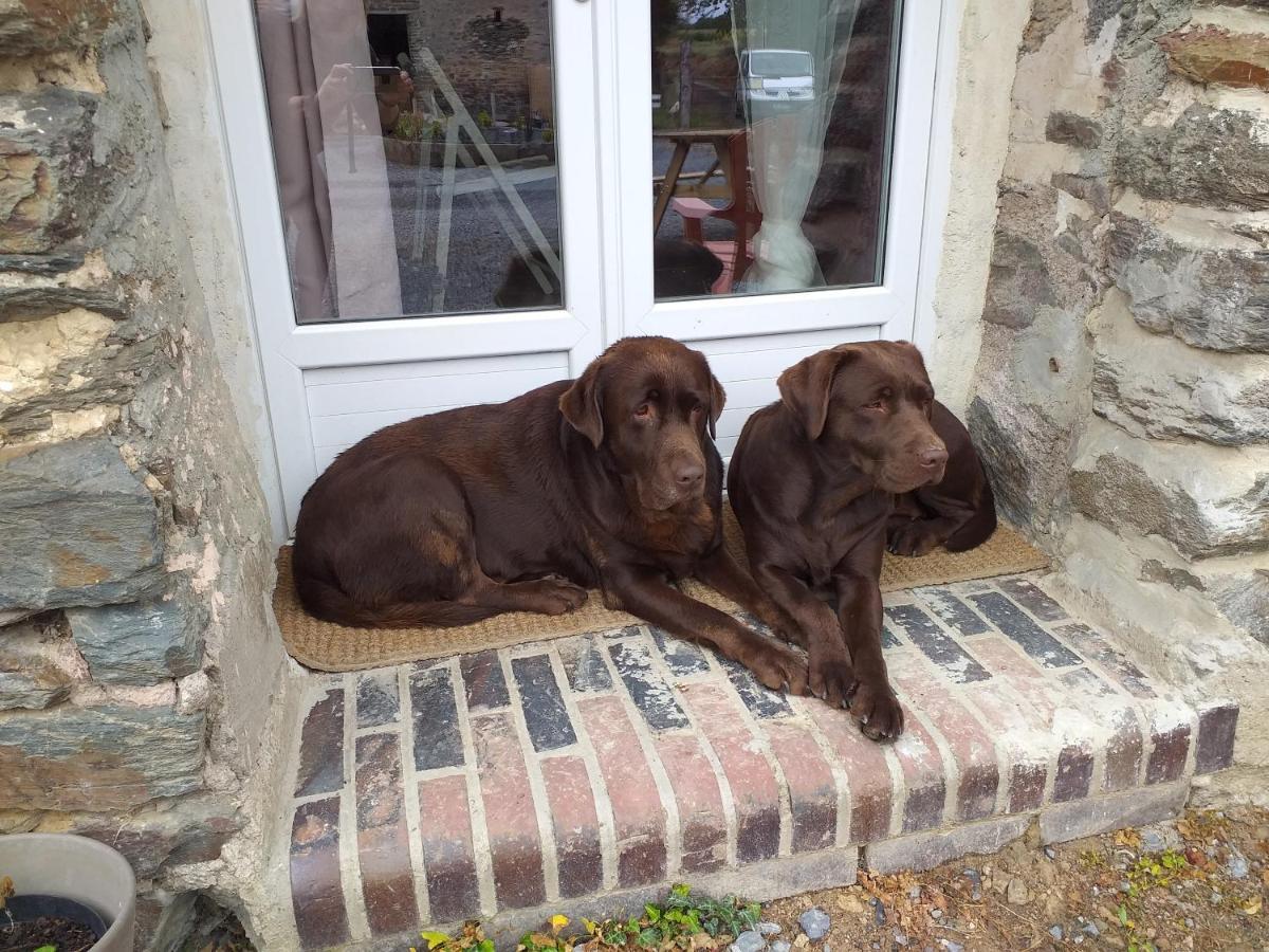 La Petite Houssaye Bed & Breakfast Villiers-Fossard Bagian luar foto